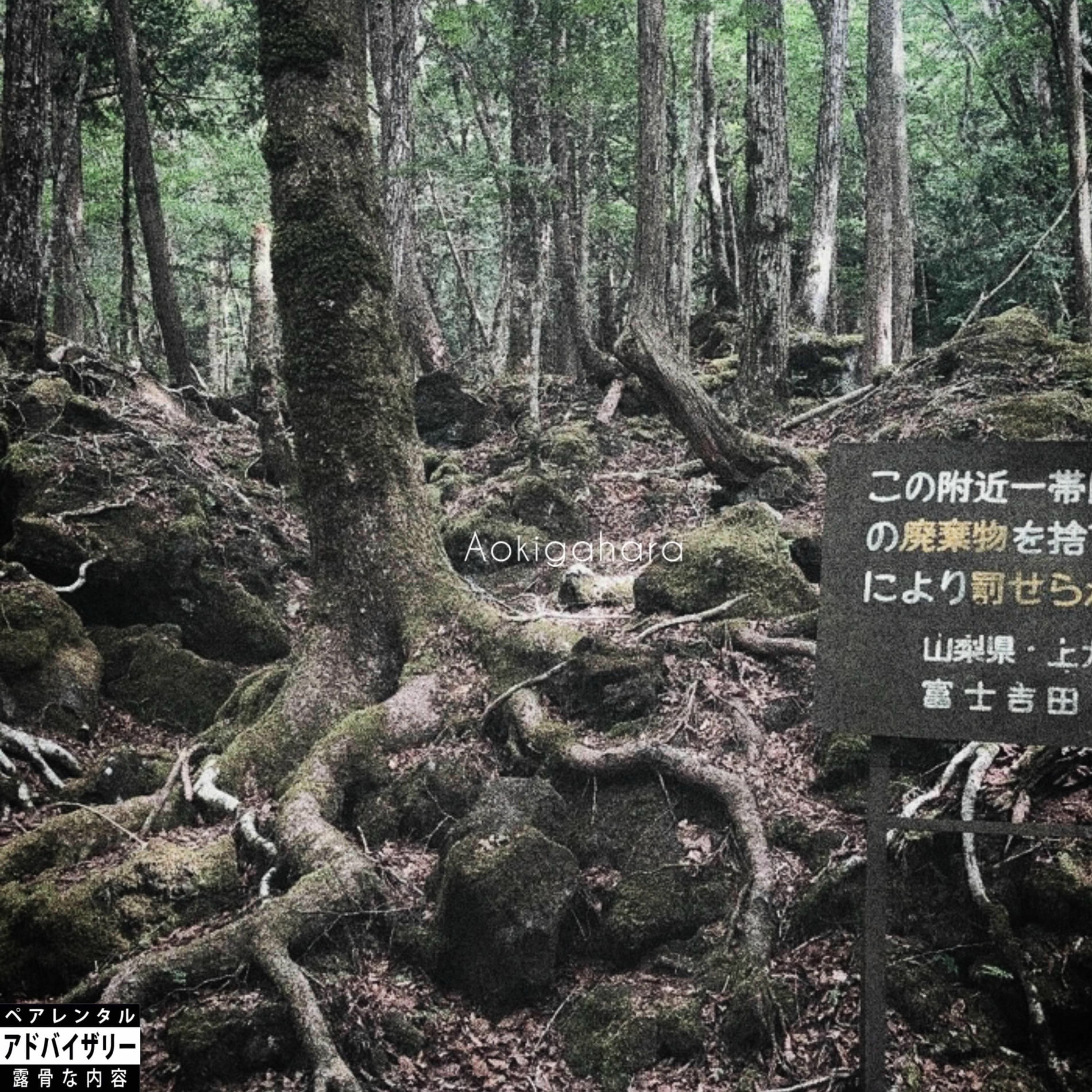 Album cover of Aokigahara (feat. Chavo Be Perfect & Yung Buda)