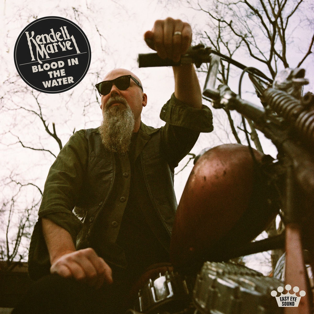 Album cover of Blood In The Water