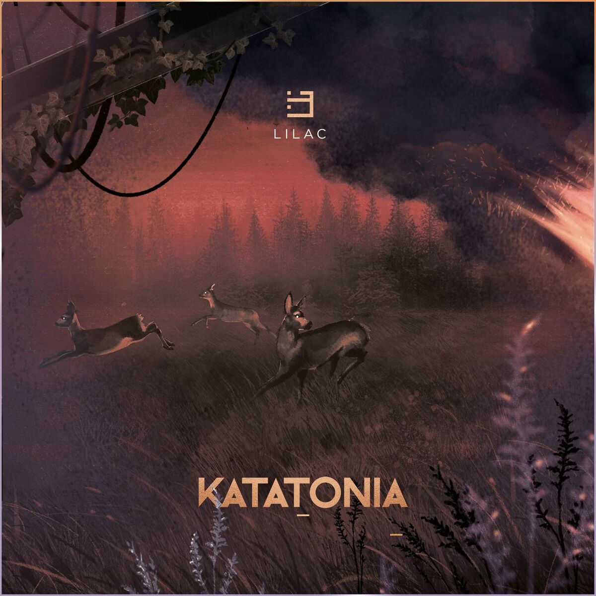 Album cover of Lilac