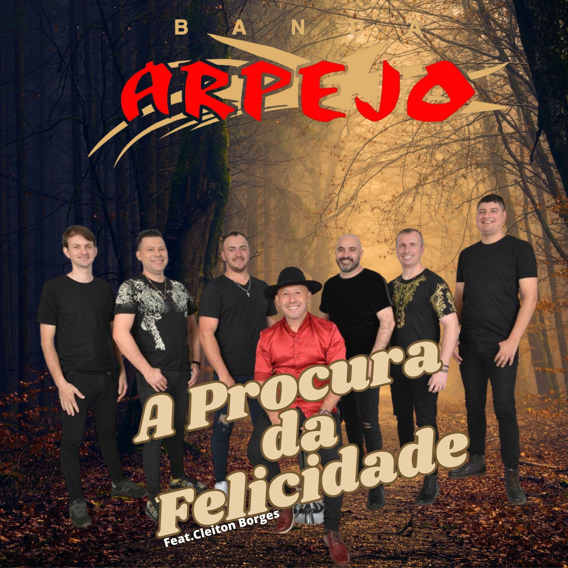 Album cover of A Procura da Felicidade