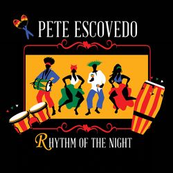 Cover of Rhythm of the Night