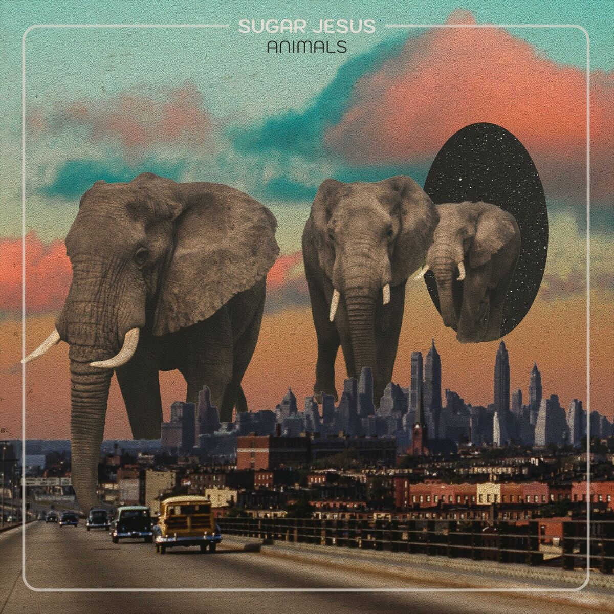 Album cover of Animals