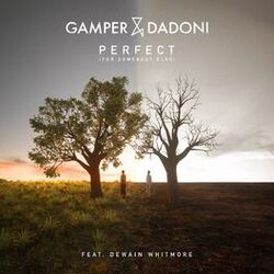 Cover of Perfect (For Somebody Else)