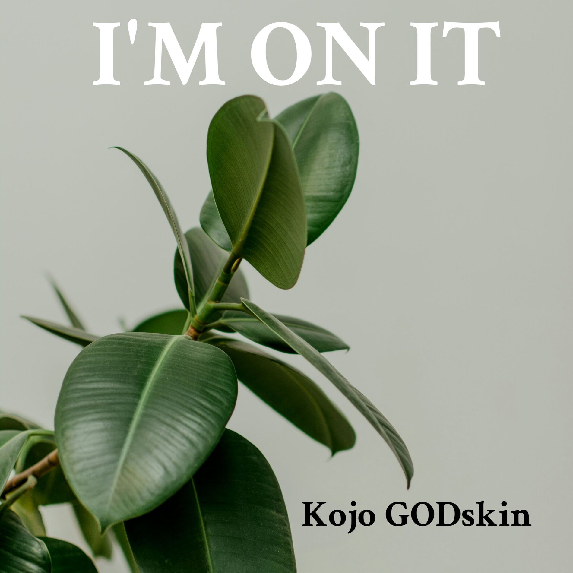 Album cover of I’M ON IT