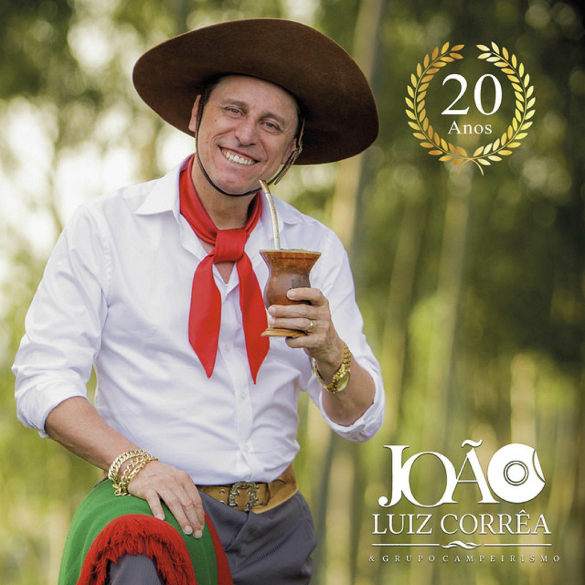 Album cover of O Pau Que Dá Cavaco