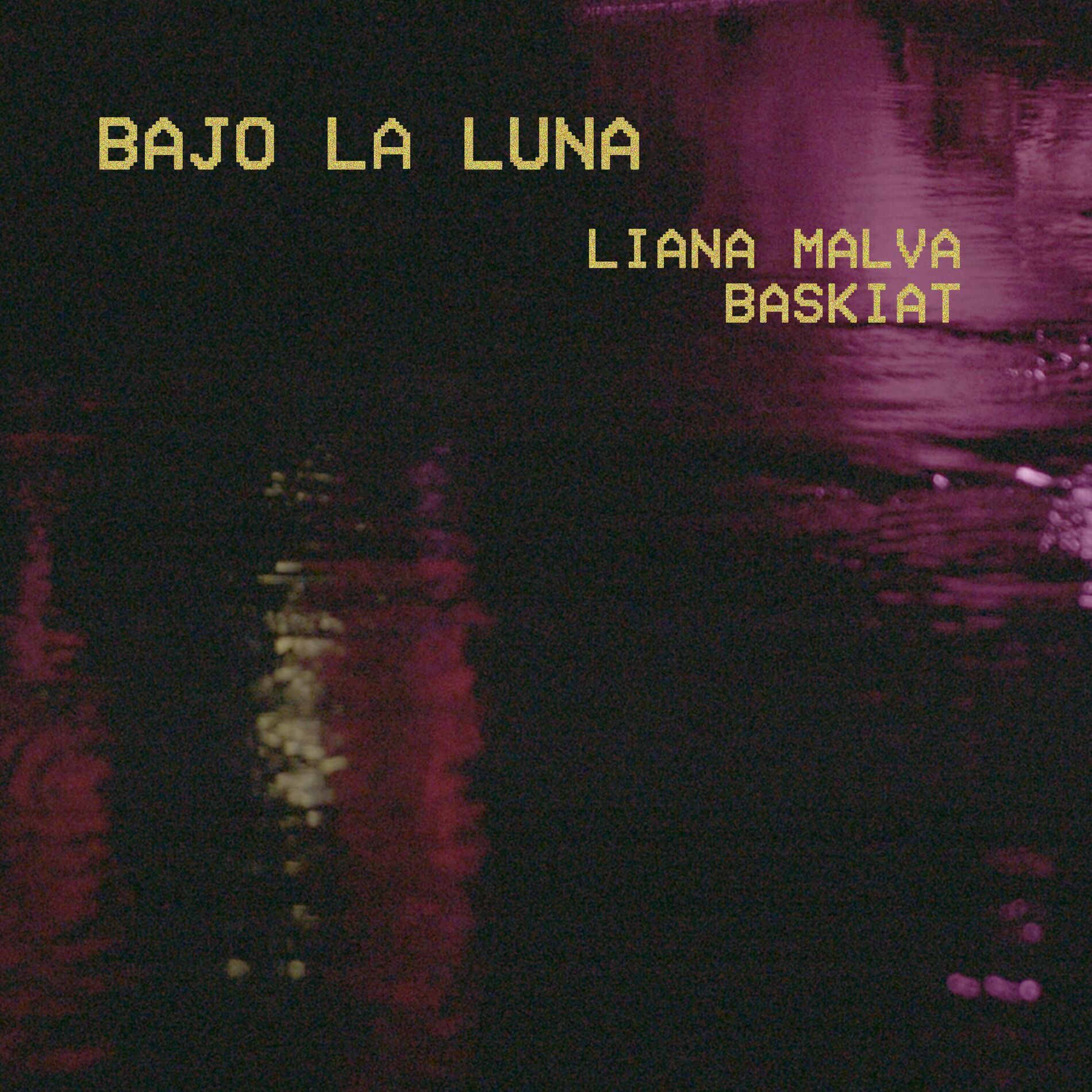 Album cover of Bajo la luna