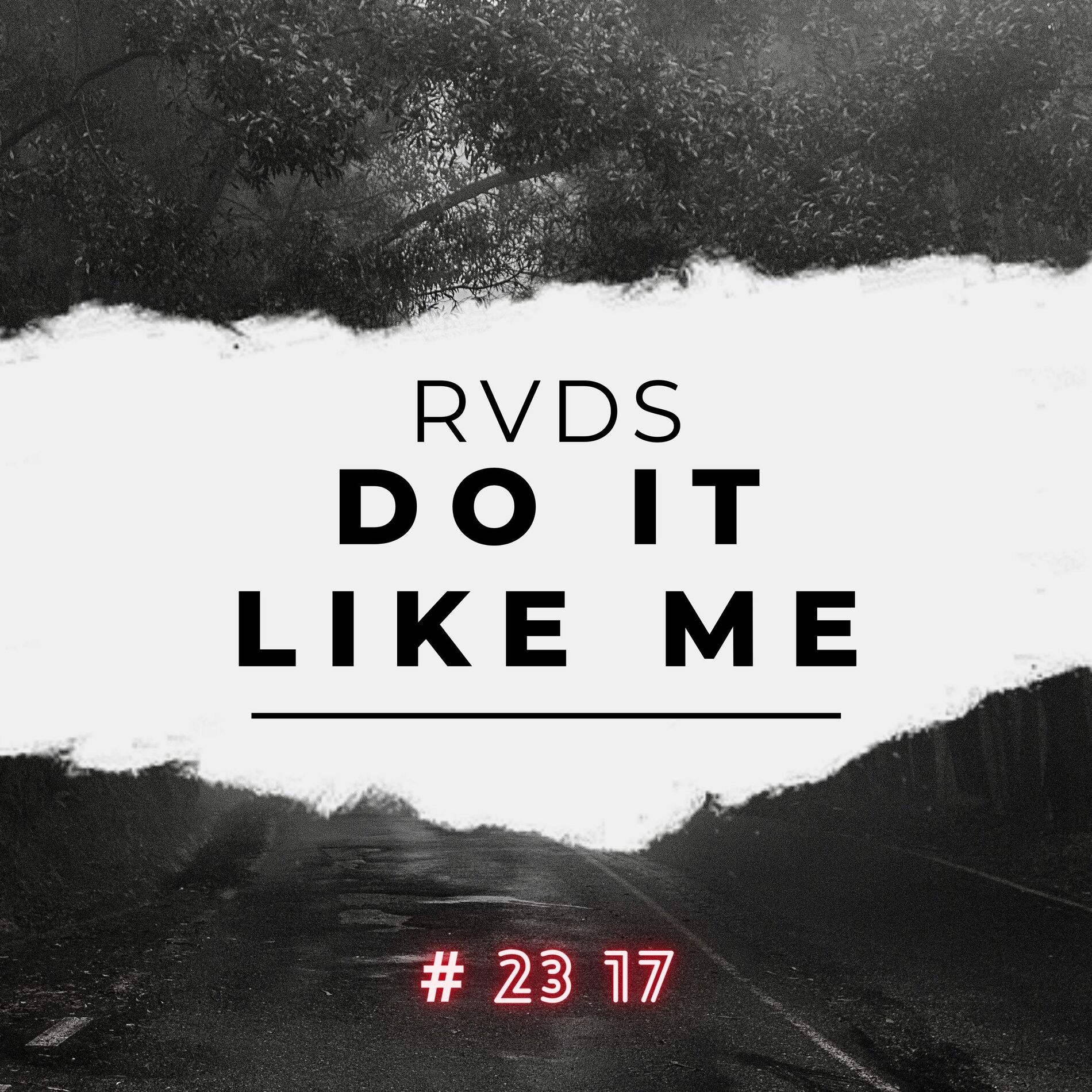 Album cover of Do it like me