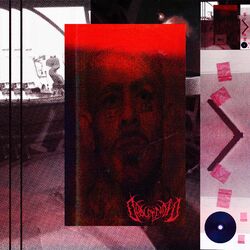 Cover of Basura Digital