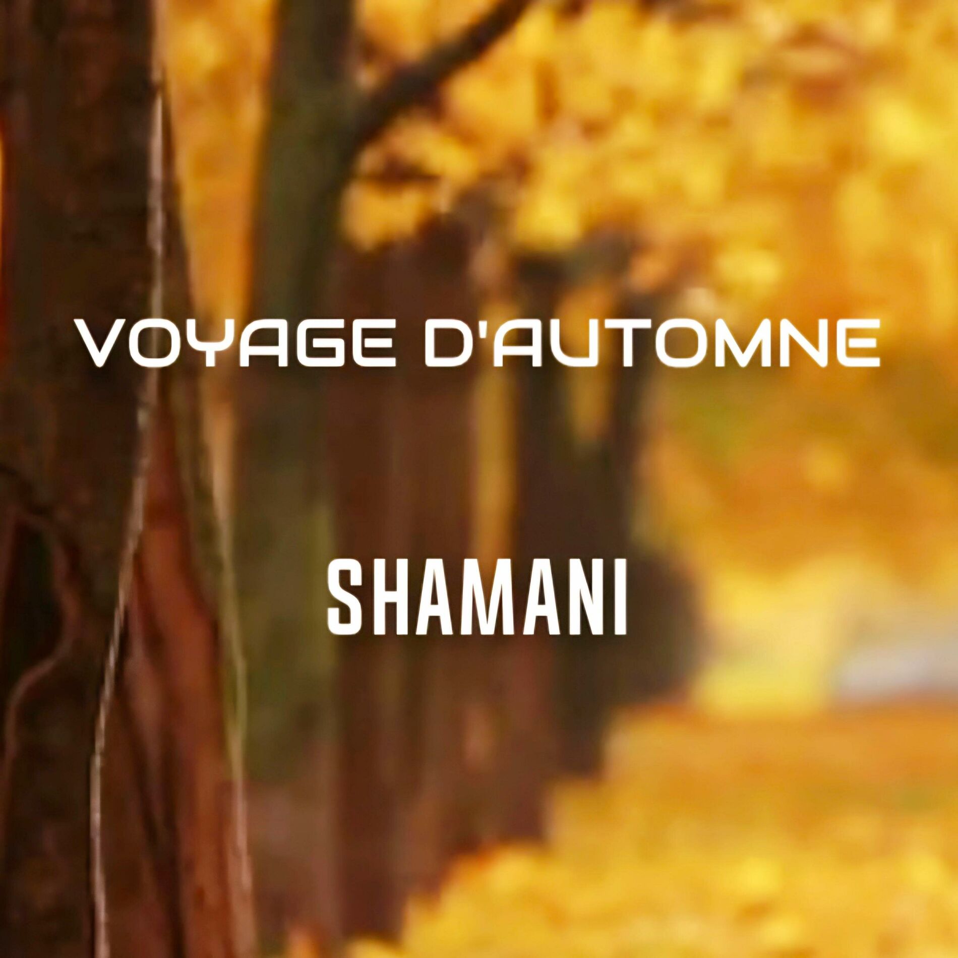 Album cover of Voyage d'automne