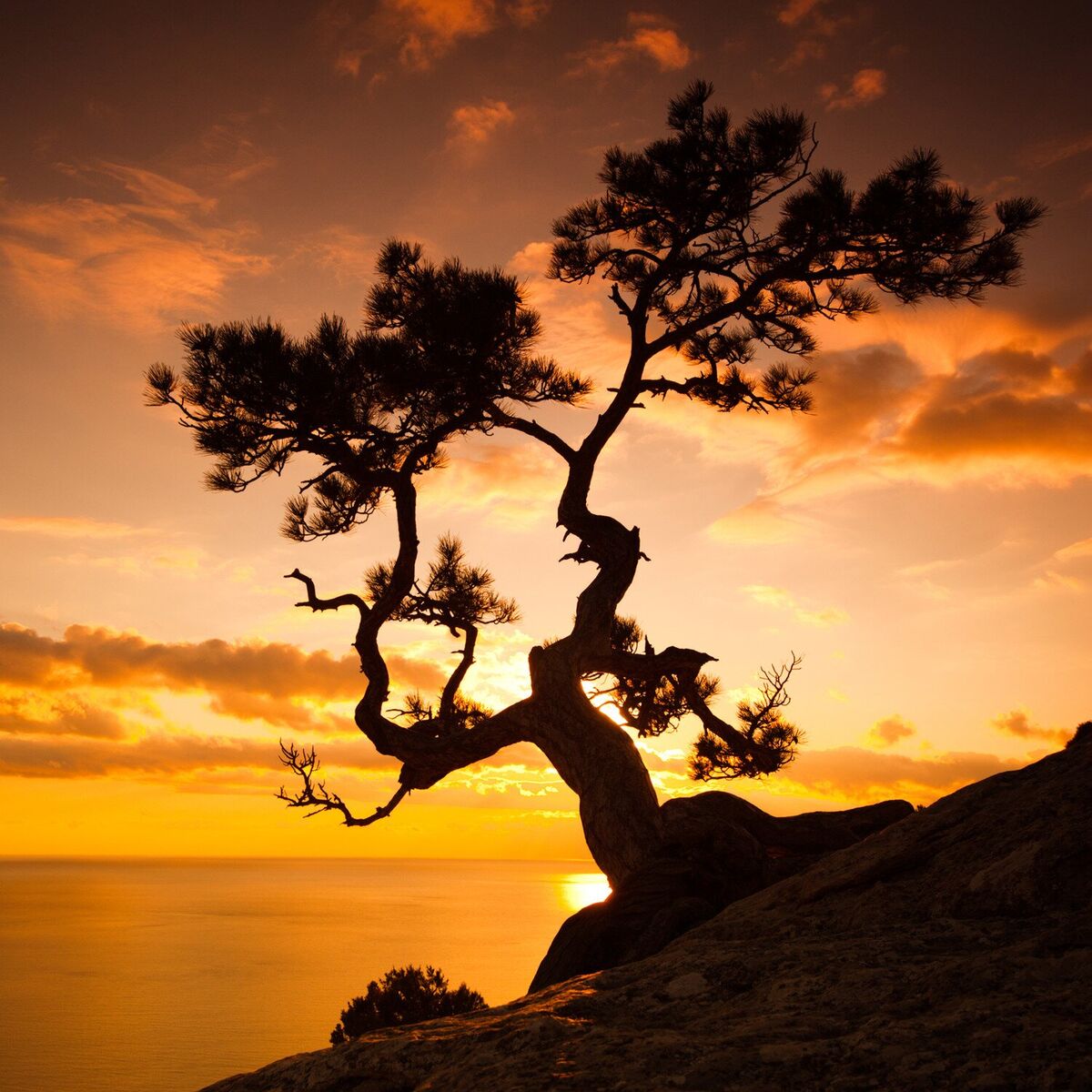 Album cover of Deep Healing