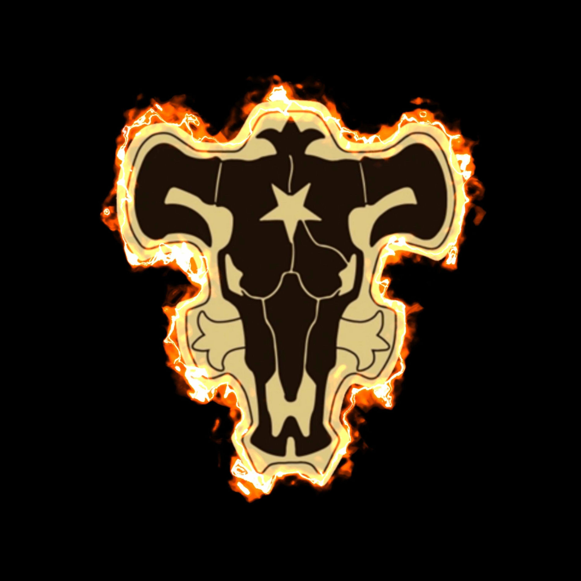 Album cover of Rap dos Touros Negros