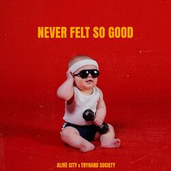 Cover of NEVER FELT SO GOOD
