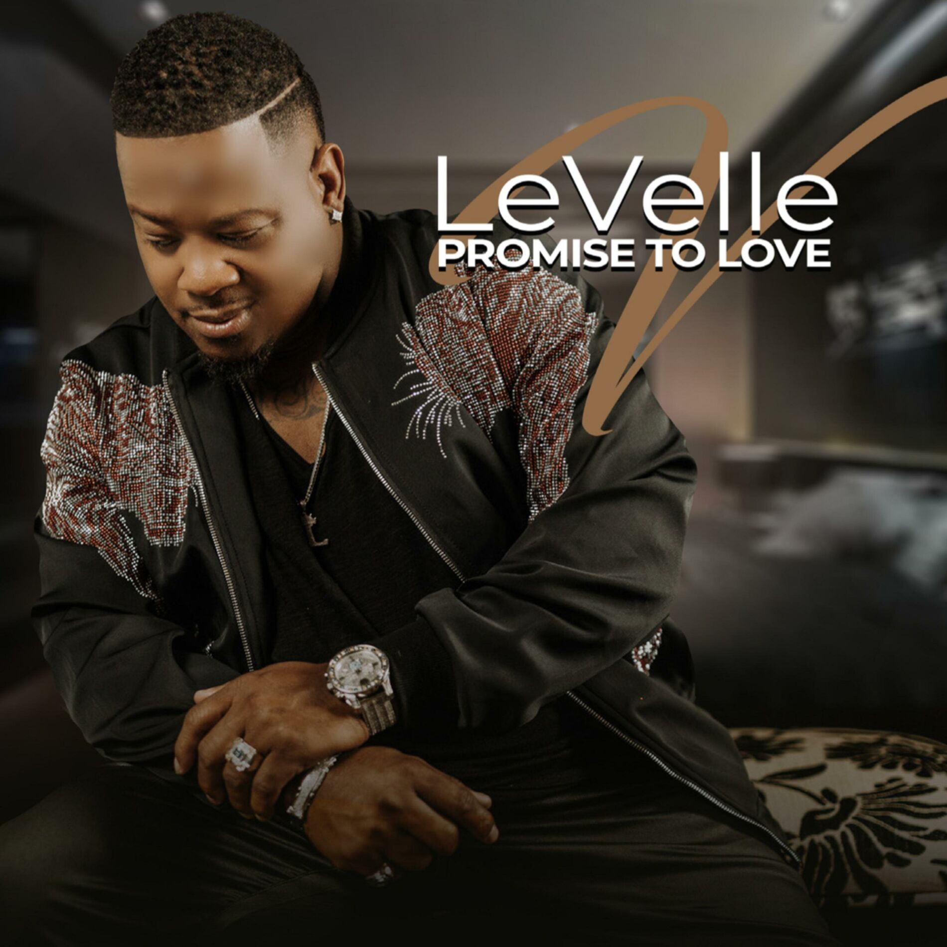 Album cover of Promise To Love