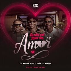Eu Não Sei Falar de Amor