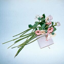 Cover of Different