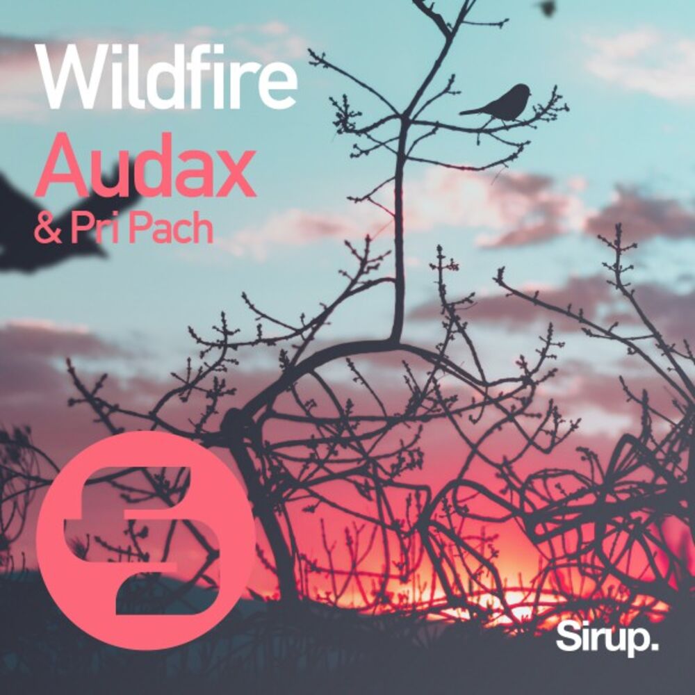 Picture of Wildfire