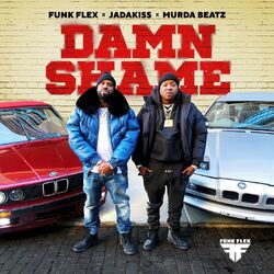 Cover of Damn Shame