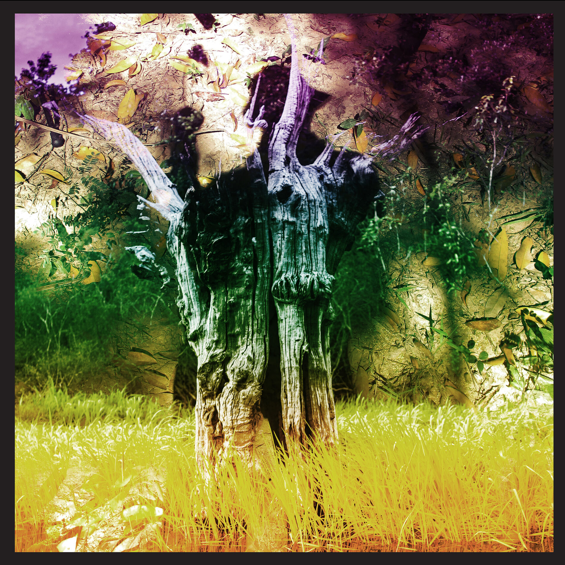 Album cover of Meeting Of The Waters