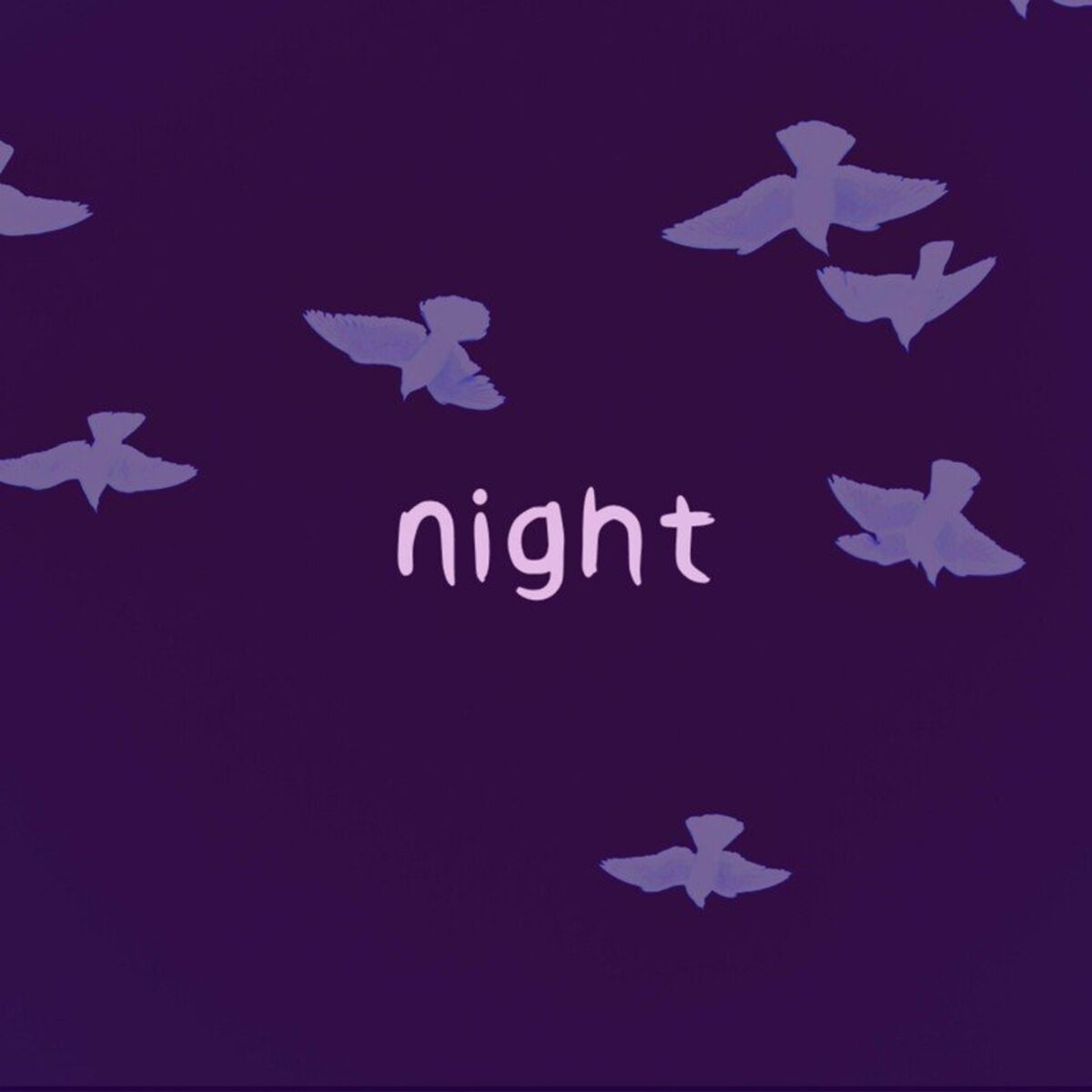 Album cover of Night
