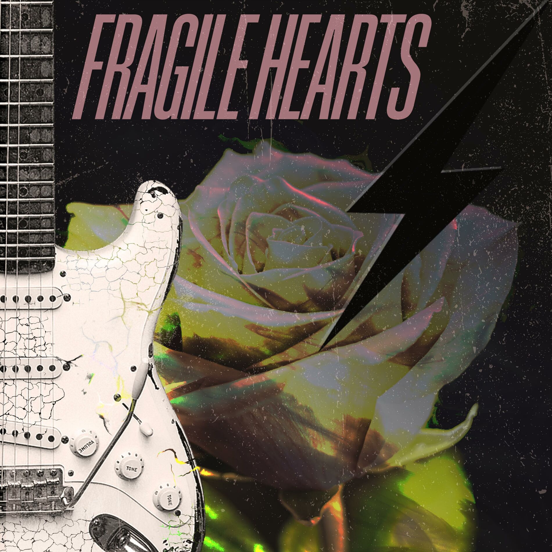 Album cover of Fragile Hearts