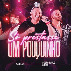 Cover of Só prestasse um pouquinho