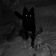 Last Jump (Hardstyle Slowed) by SløwlyFallingRain album cover