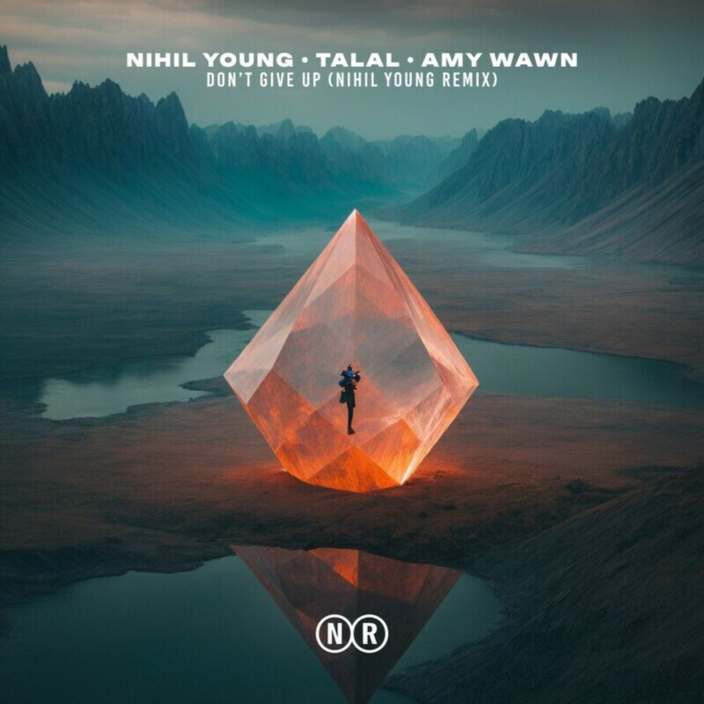Picture of Don't Give Up (Nihil Young Remix)