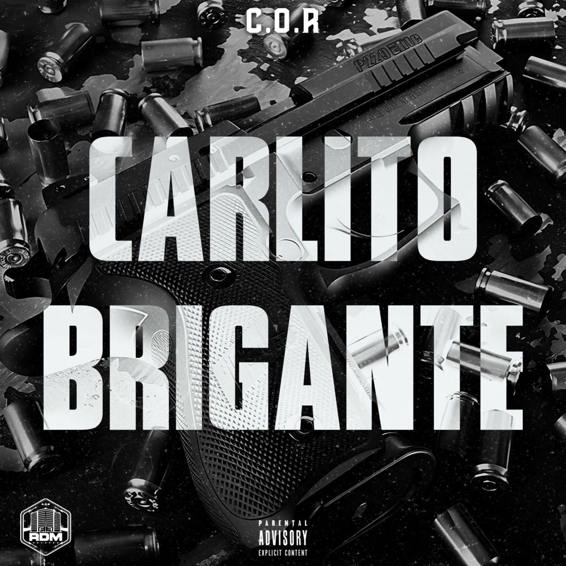 Album cover of Carlito Brigante