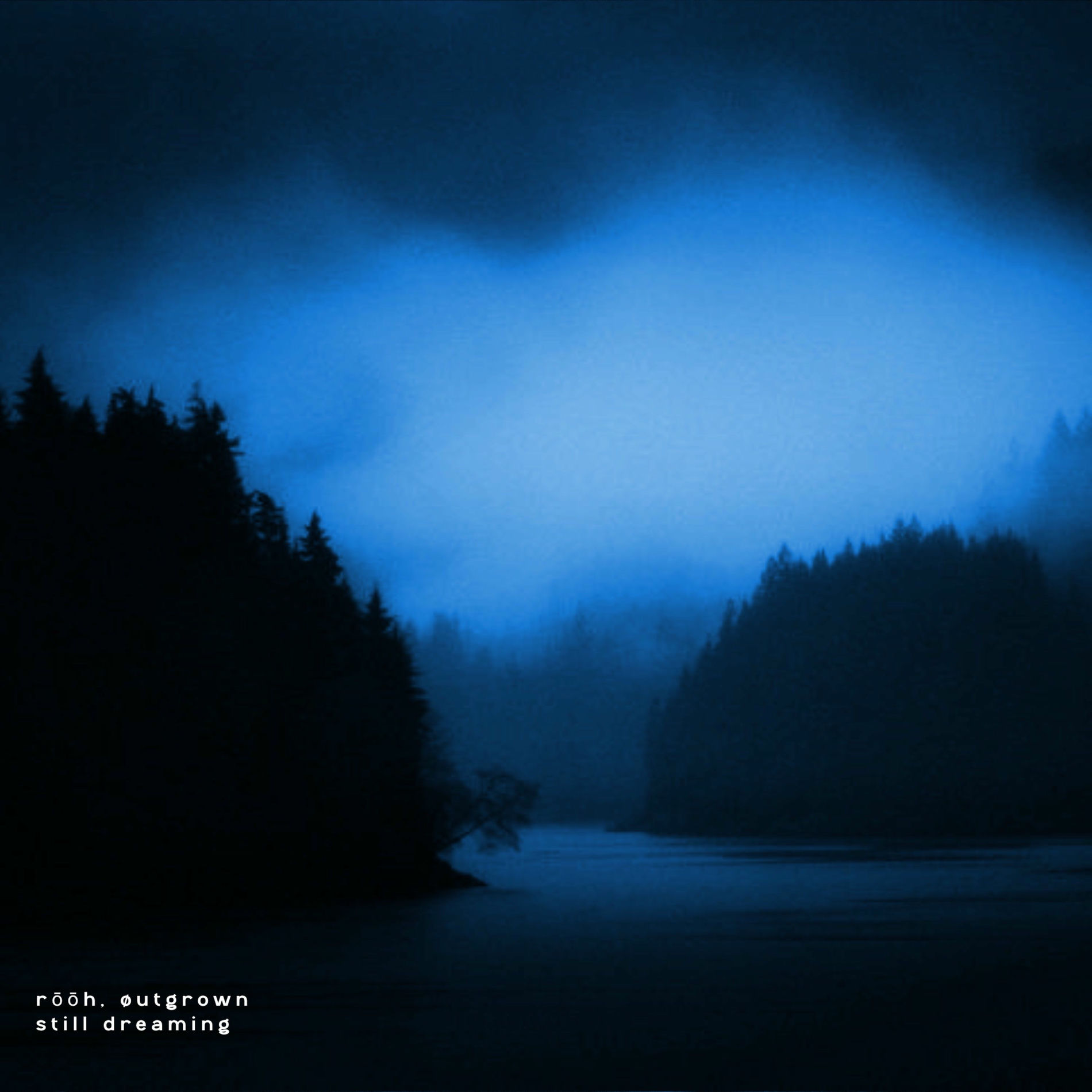 Album cover of still dreaming