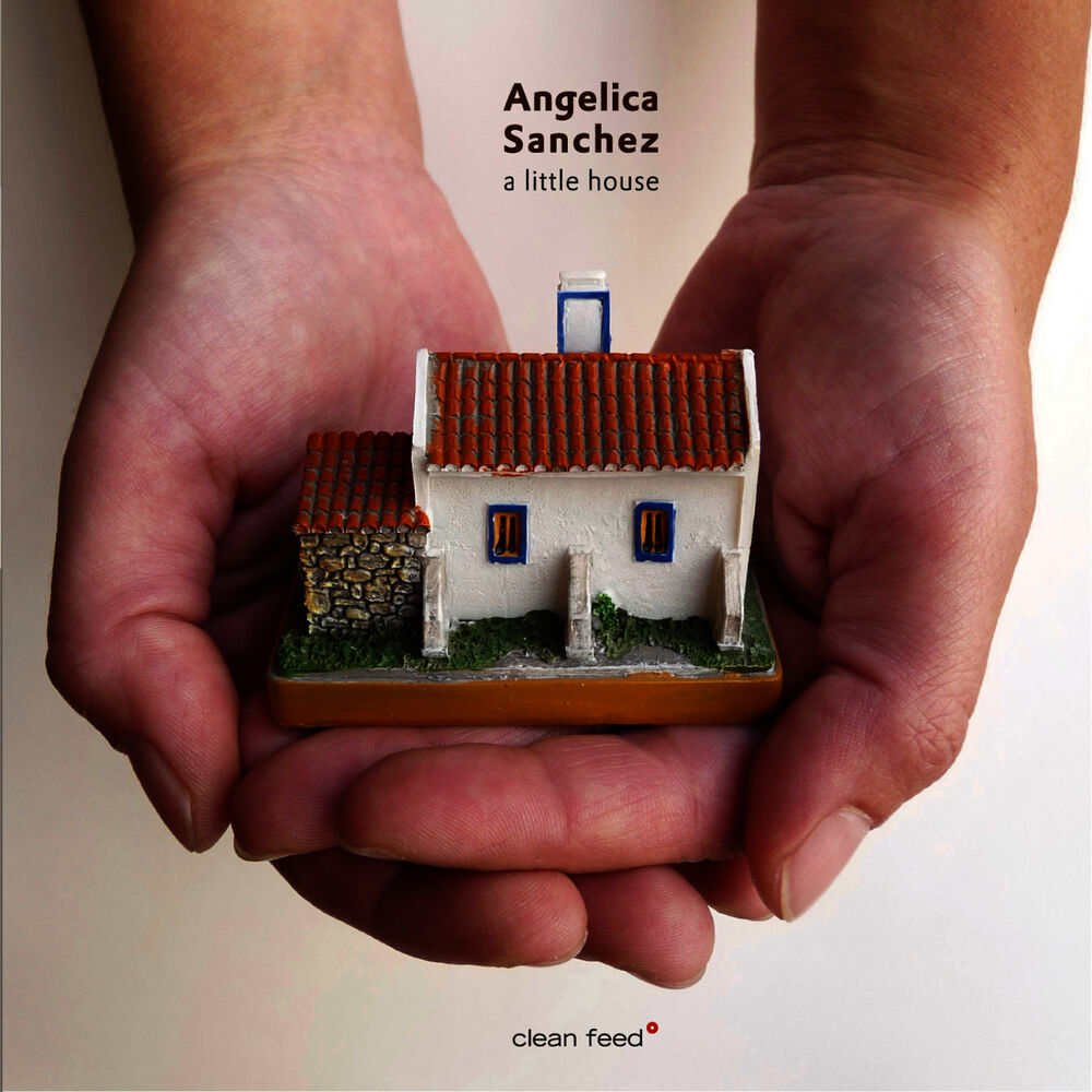 Picture of A Little House