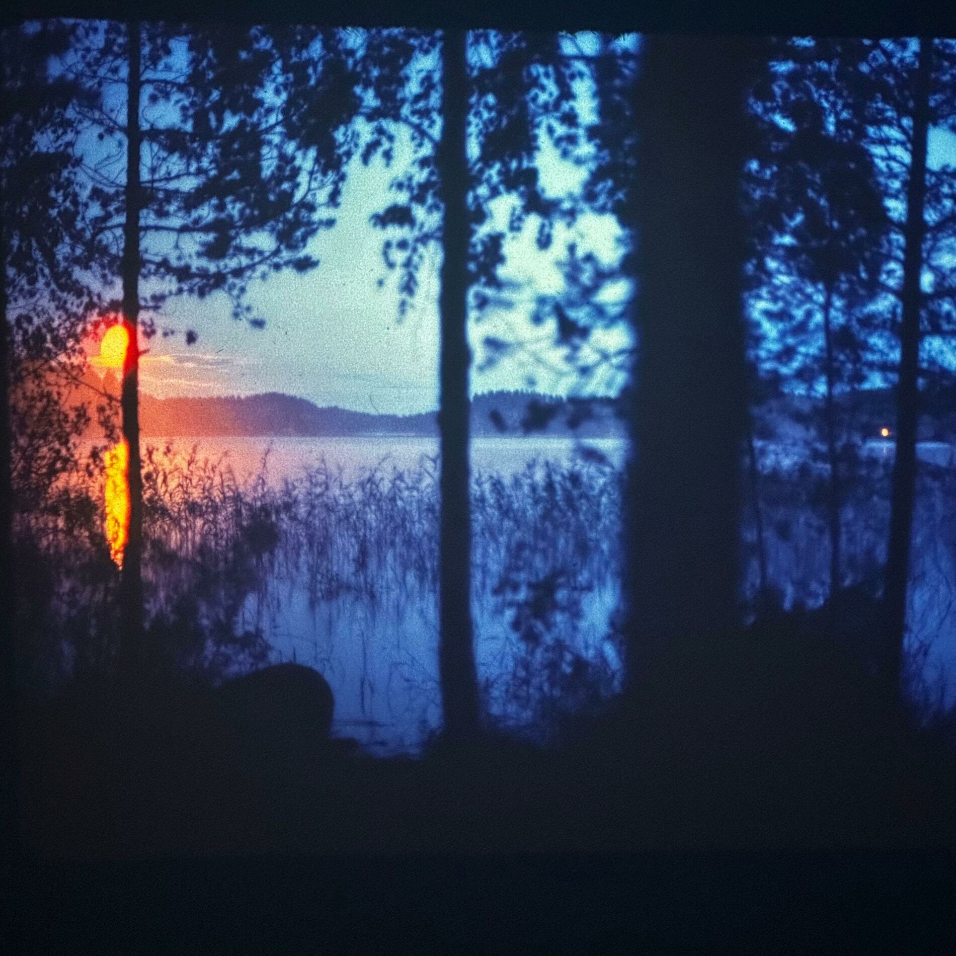 Album cover of Piano Meditations