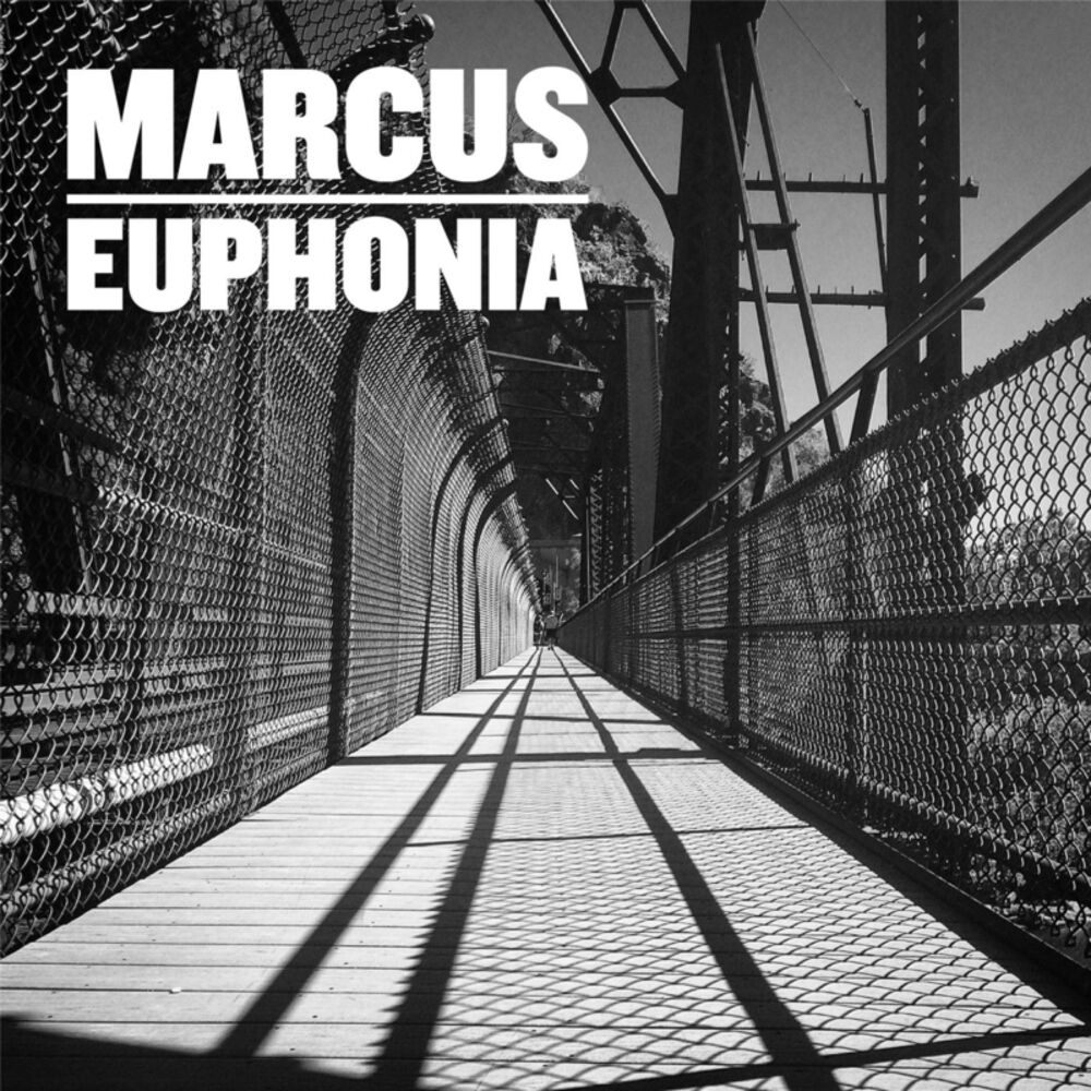 Picture of Euphonia