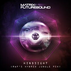 Cover of Hindsight (M&F's Hybrid Jungle Mix)