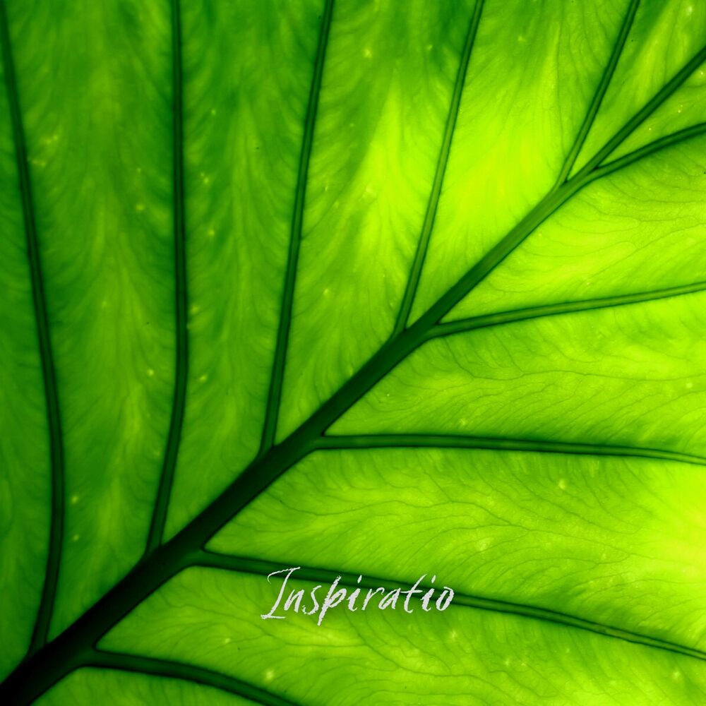 Picture of Inspiratio