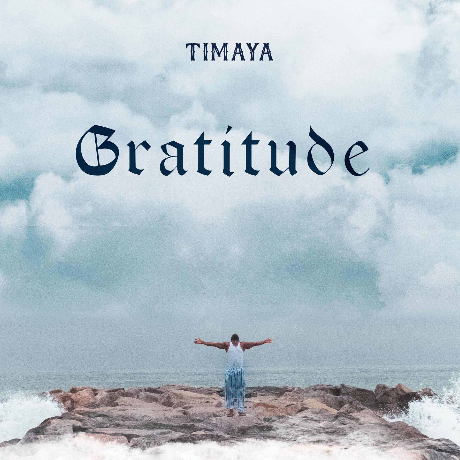 Album cover of The Mood