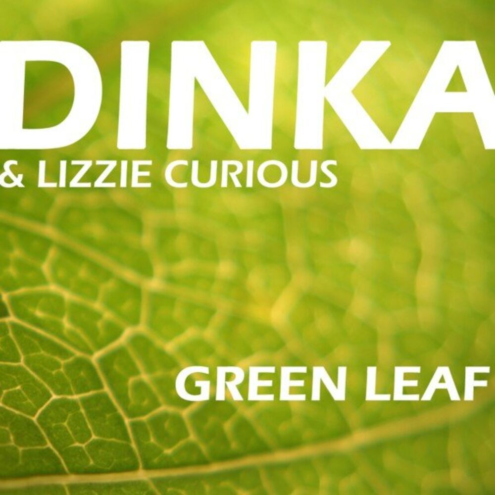Picture of Green Leaf