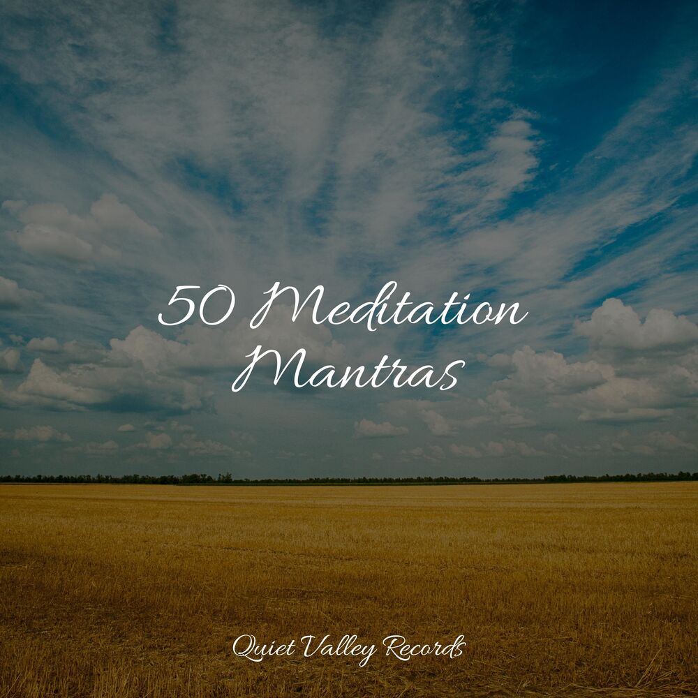 Picture of 50 Meditation Mantras