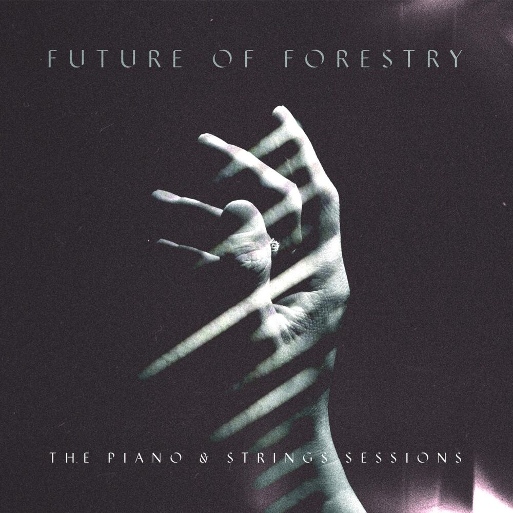 Picture of The Piano & Strings Sessions