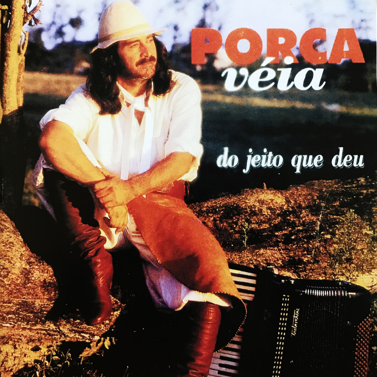 Album cover of Do Jeito Que Deu