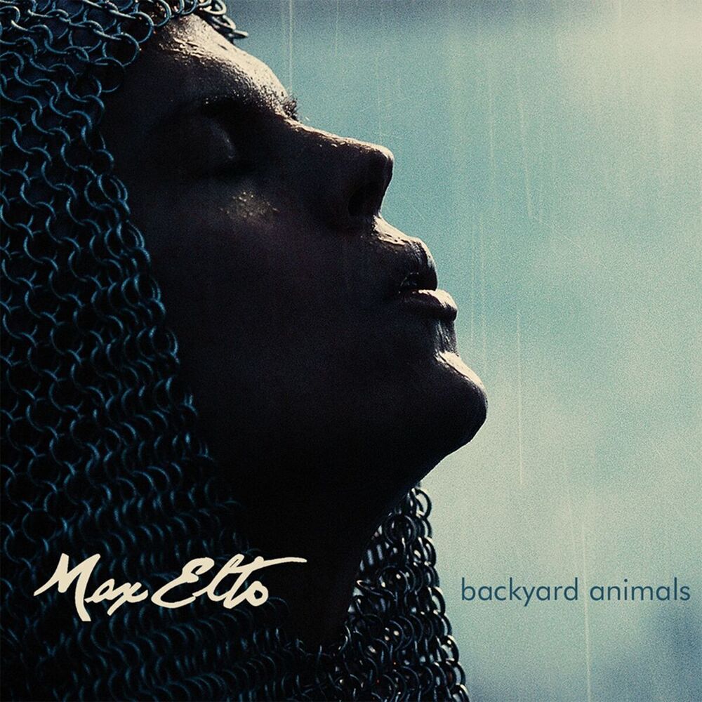 Picture of Backyard Animals (Orignal Mix)