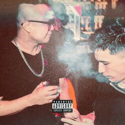 Cover of Signs