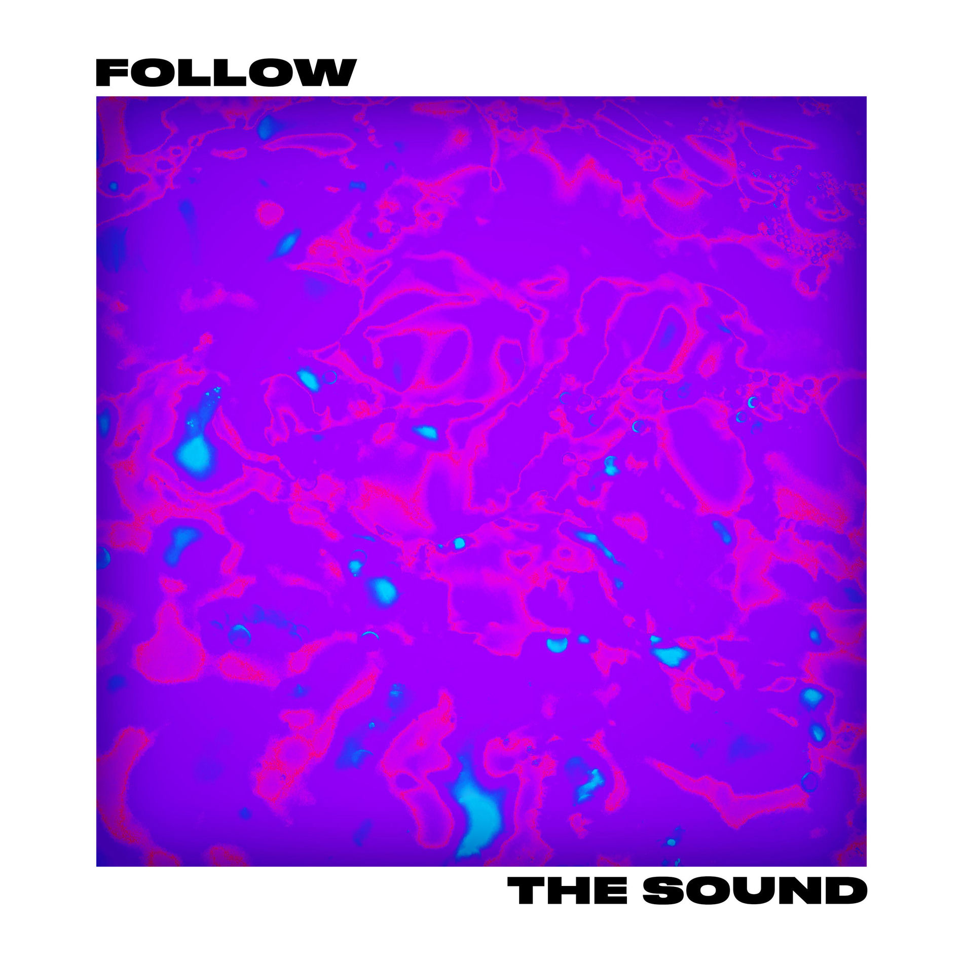 Album cover of Follow the Sound