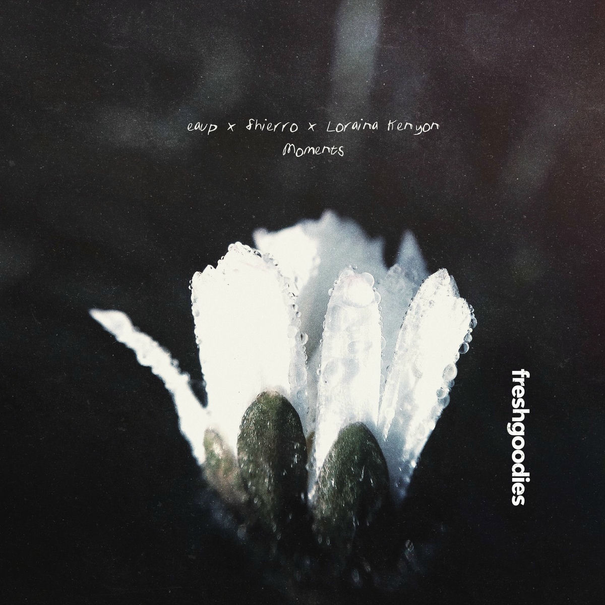 Album cover of Moments