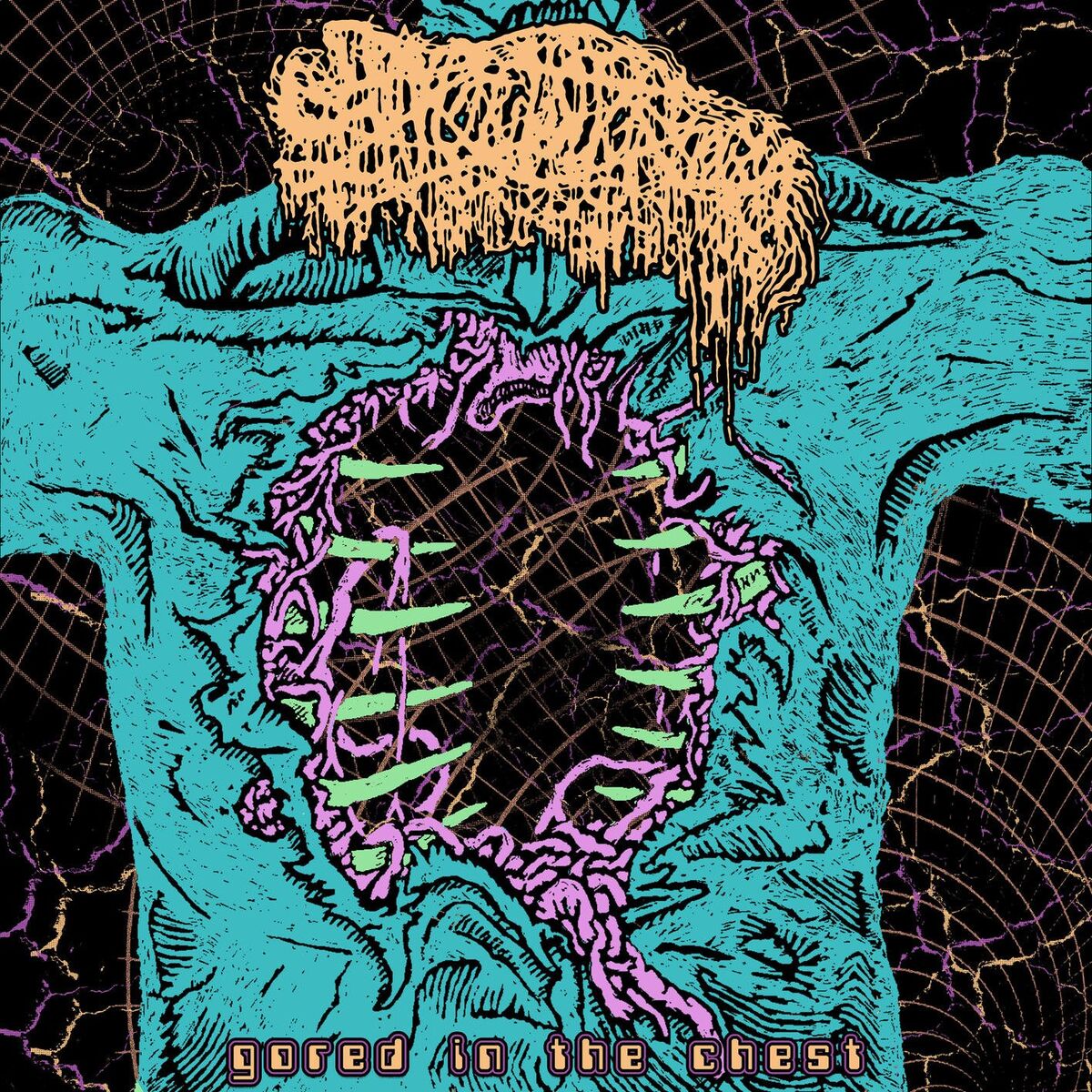 Album cover of Gored in the Chest
