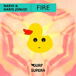 Cover of Fire