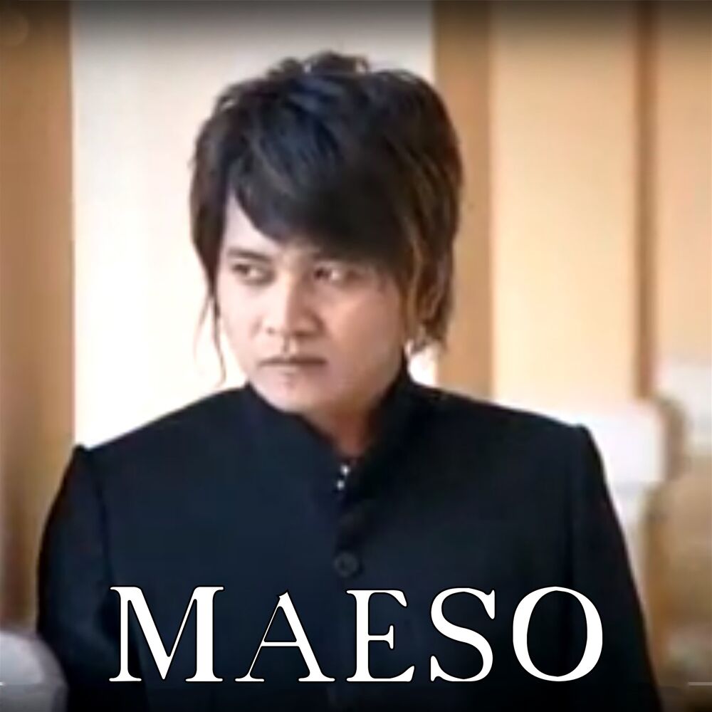 Picture of Maeso