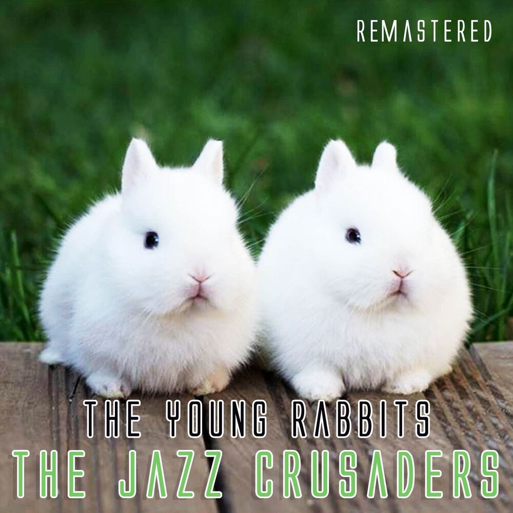 Picture of The Young Rabbits (Remastered)