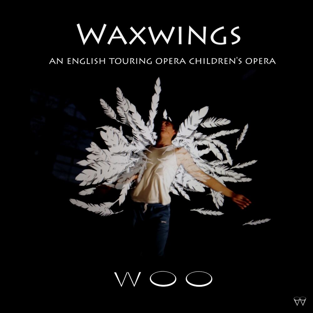 Picture of Waxwings (Instrumental version)