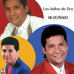 Cover of Los Éxitos De Oro
