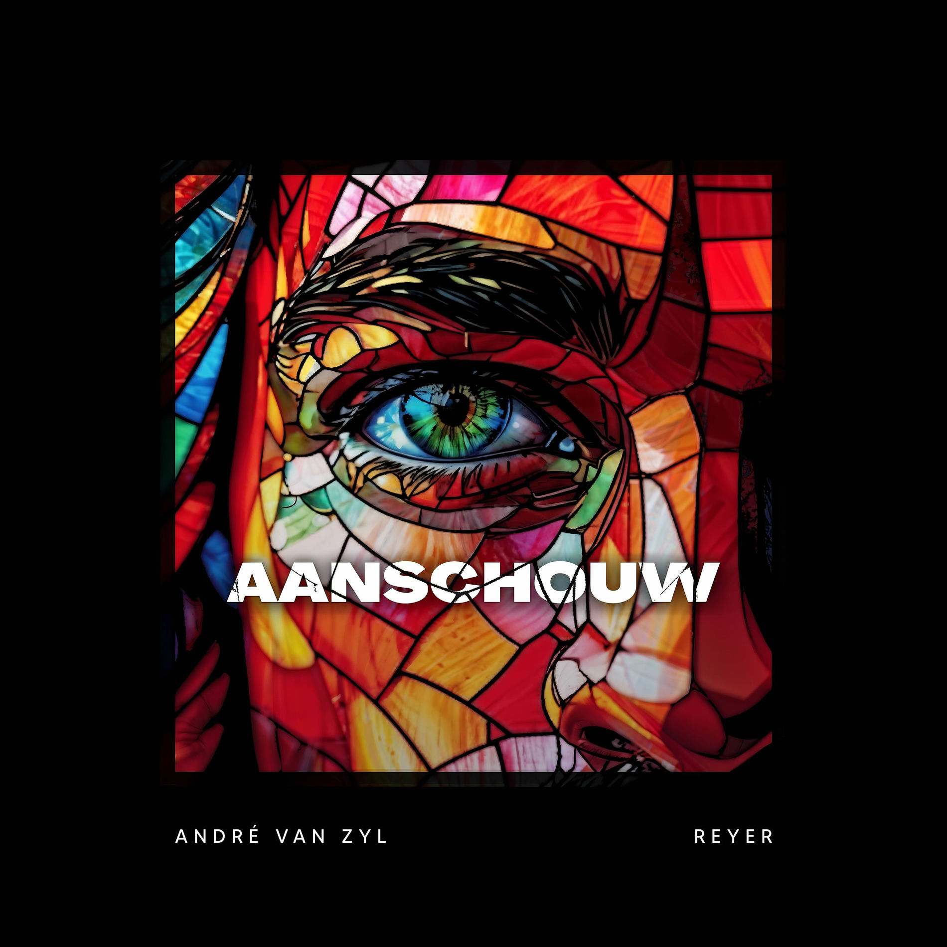 Album cover of Aanschouw